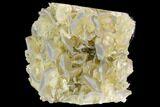 Unique, Calcite Crystal Cluster on Green Fluorite - China #112637-1
